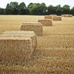 Twine hay bales scaled