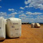 White wool packs